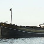 De Mark