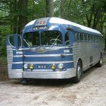 Greyhound Silverside